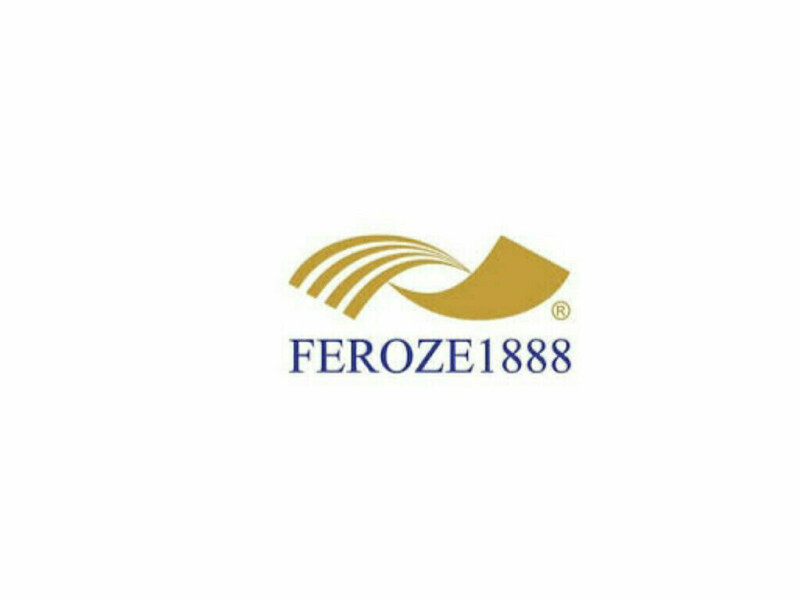 Why the Feroz 1888 Mills Limited have Lower Stock Price With Their Competitor Towellers Limited